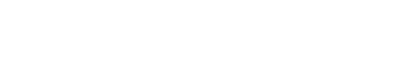 Pizza Haus Neustadt Logo